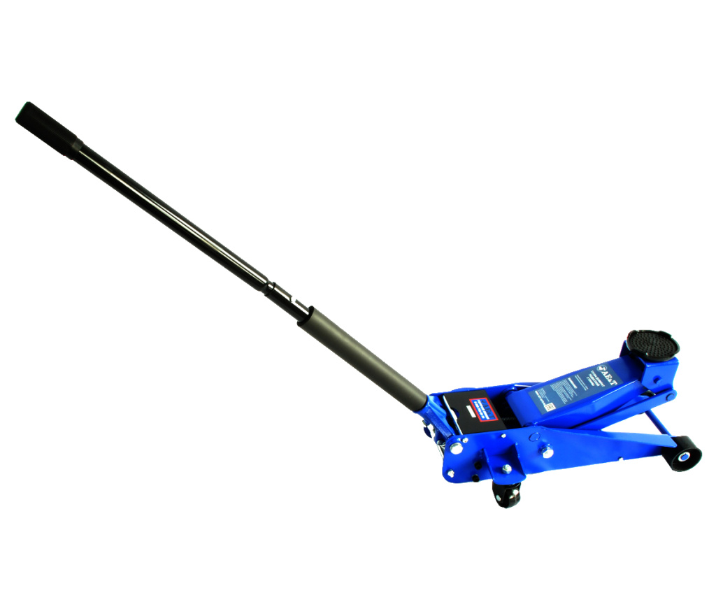 t31304_3.jpg